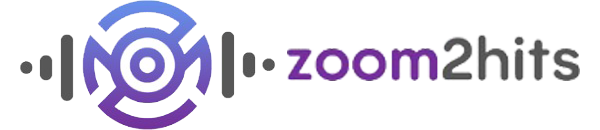 Zoom2Hits